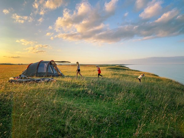 Comment préparer un itinéraire de camping pour découvrir les forêts primaires en Amérique du Sud?
